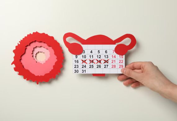 Karnataka Issues Official Order to Implement Paid Menstrual Leave