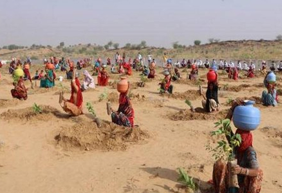 Women in Rajasthan Plant Saplings to Commemorate World Day to Combat Desertification and Drought