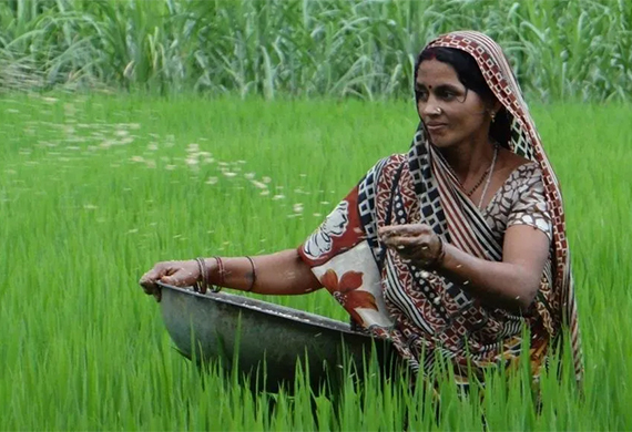 Walmart Foundation provides grants of $3.53 million to support 1 million Indian Farmers, 50% of which are Women