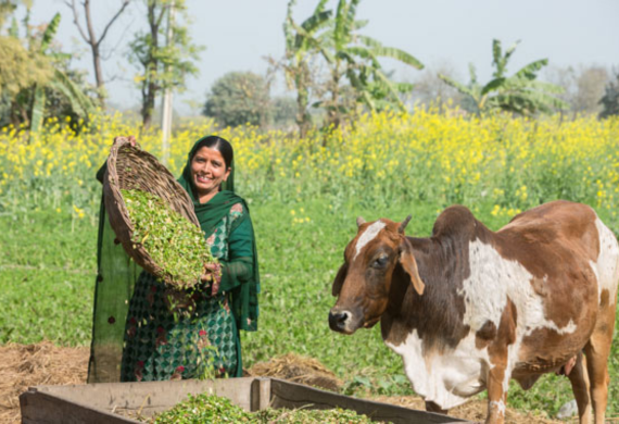 Ministry of Agriculture & Farmers Welfare organizes Awareness program for Farmwomen and Female business owners of Punjab