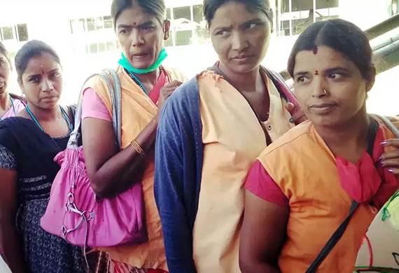 Unemployment Rate for Women Falls, Government takes steps to encourage Women's Employment Unemployment Rate for Women Falls, Government takes steps to encourage Women's Employment