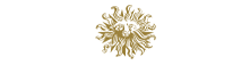 Publicis Groupe
